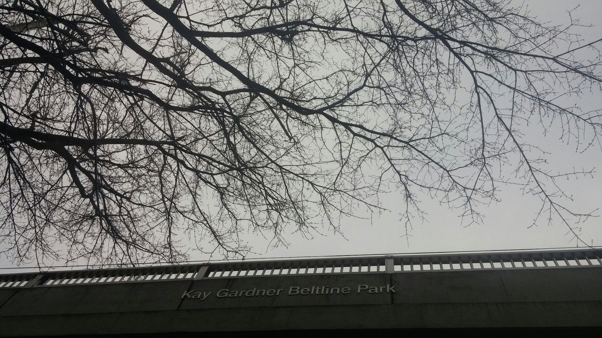 ¿Qué hacer para disfrutar la vida?