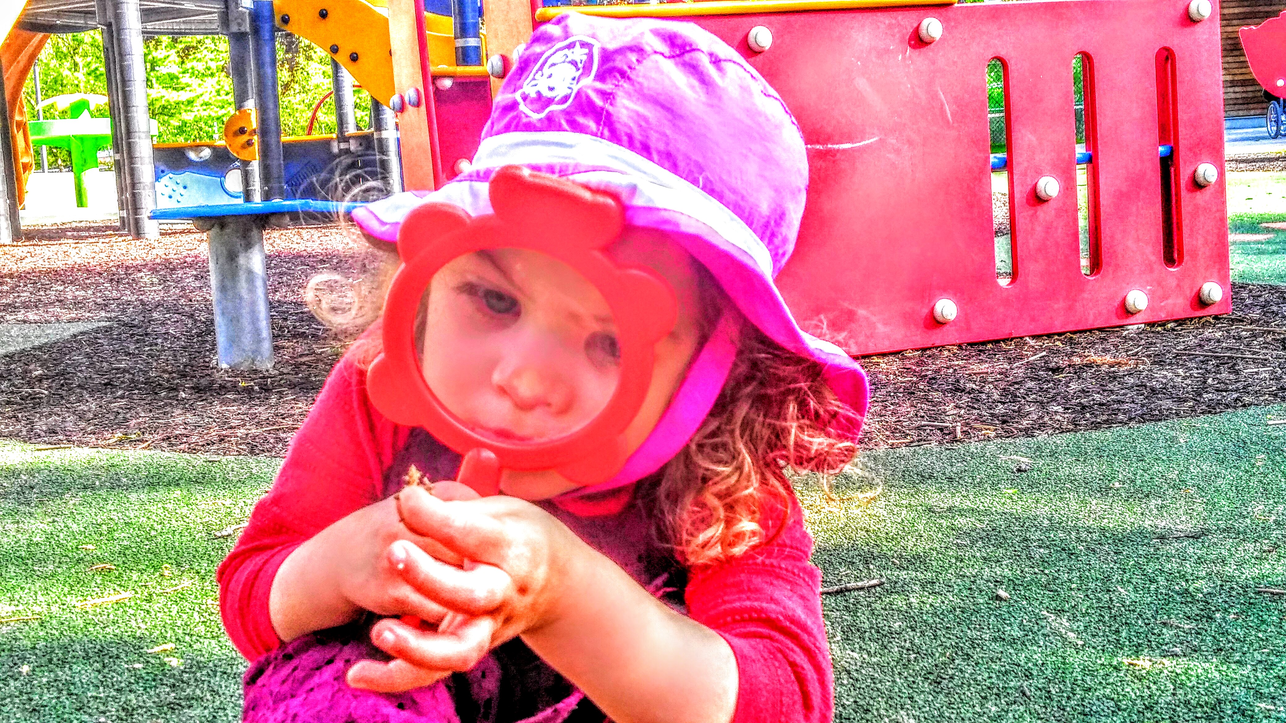 OBSERVAR LA NATURALEZA