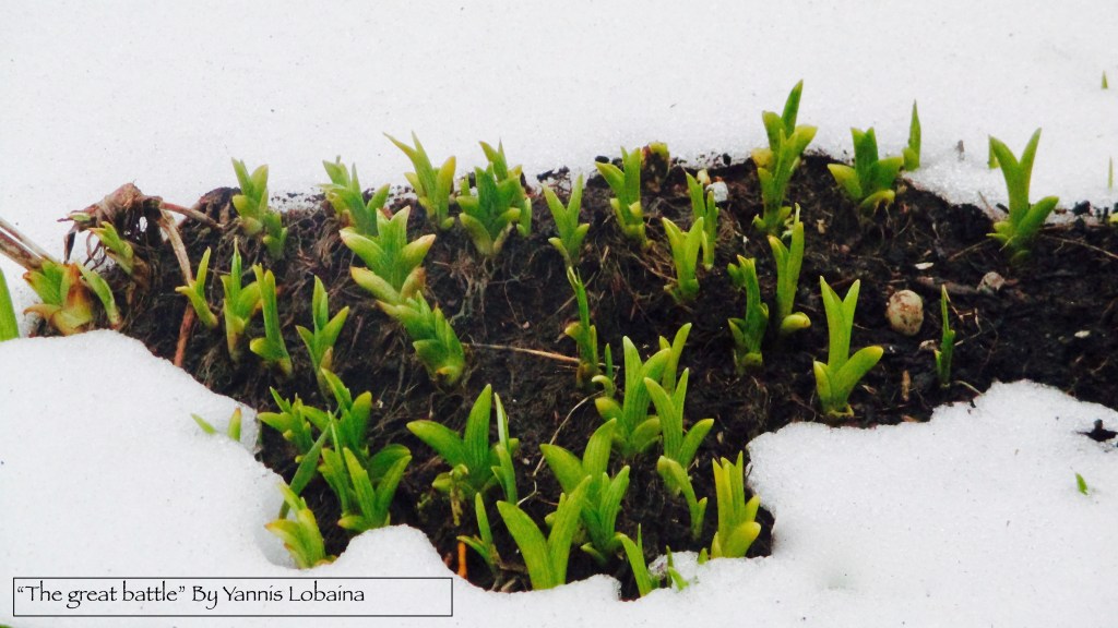 5 vídeos para disfrutar con nuestros niños Y 45 ideas de cómo ayudar a nuestro planeta&nbsp;tierra.