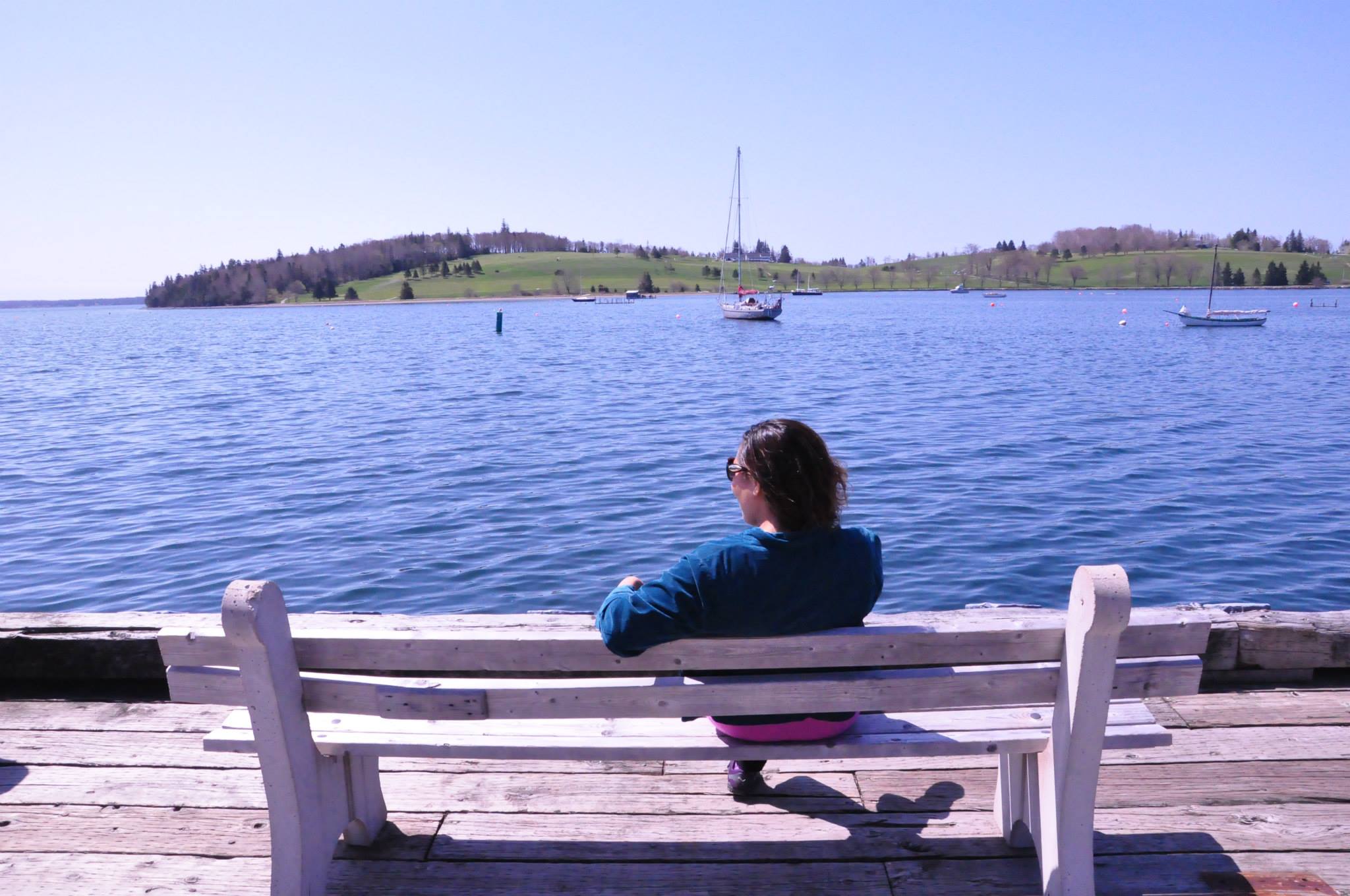 10010314_10152346707167368_5573374353220847912_o