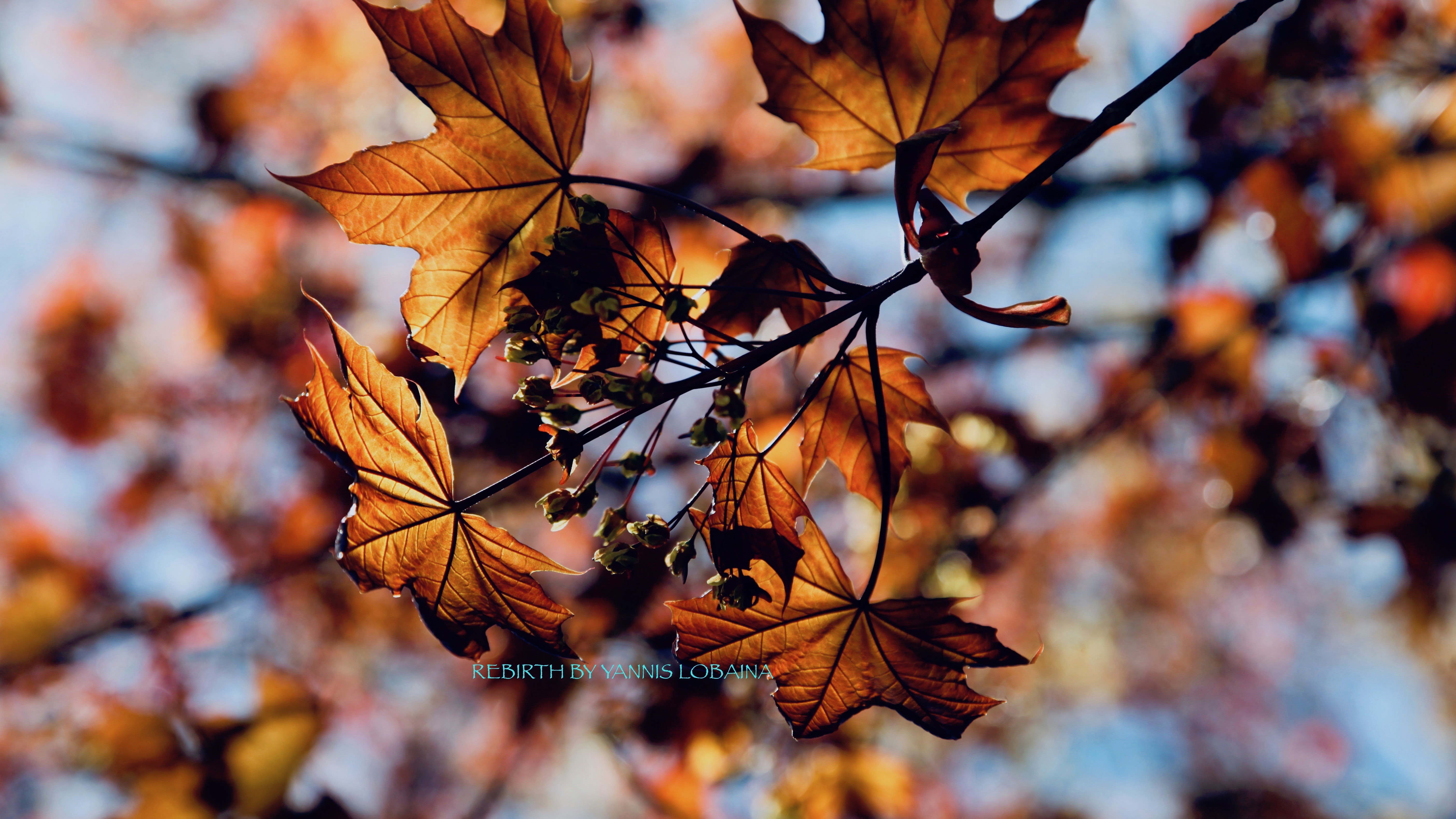 Tres actividades que nos ayudaran  a mantener la mente  creativa.