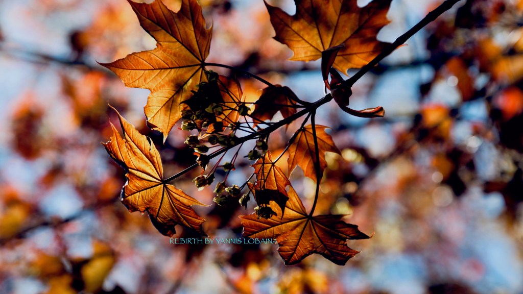 Tres actividades que nos ayudaran  a mantener la mente&nbsp;creativa.