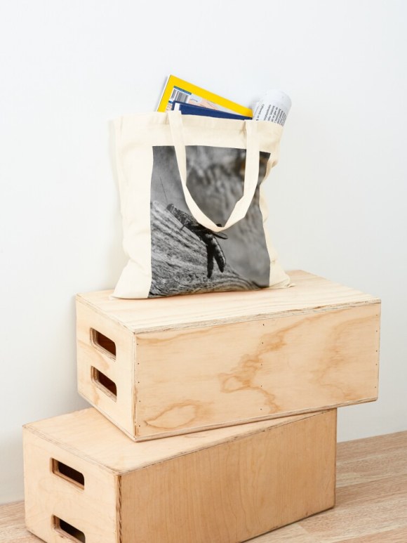 Magic Grasshopper By Yannis Lobaina