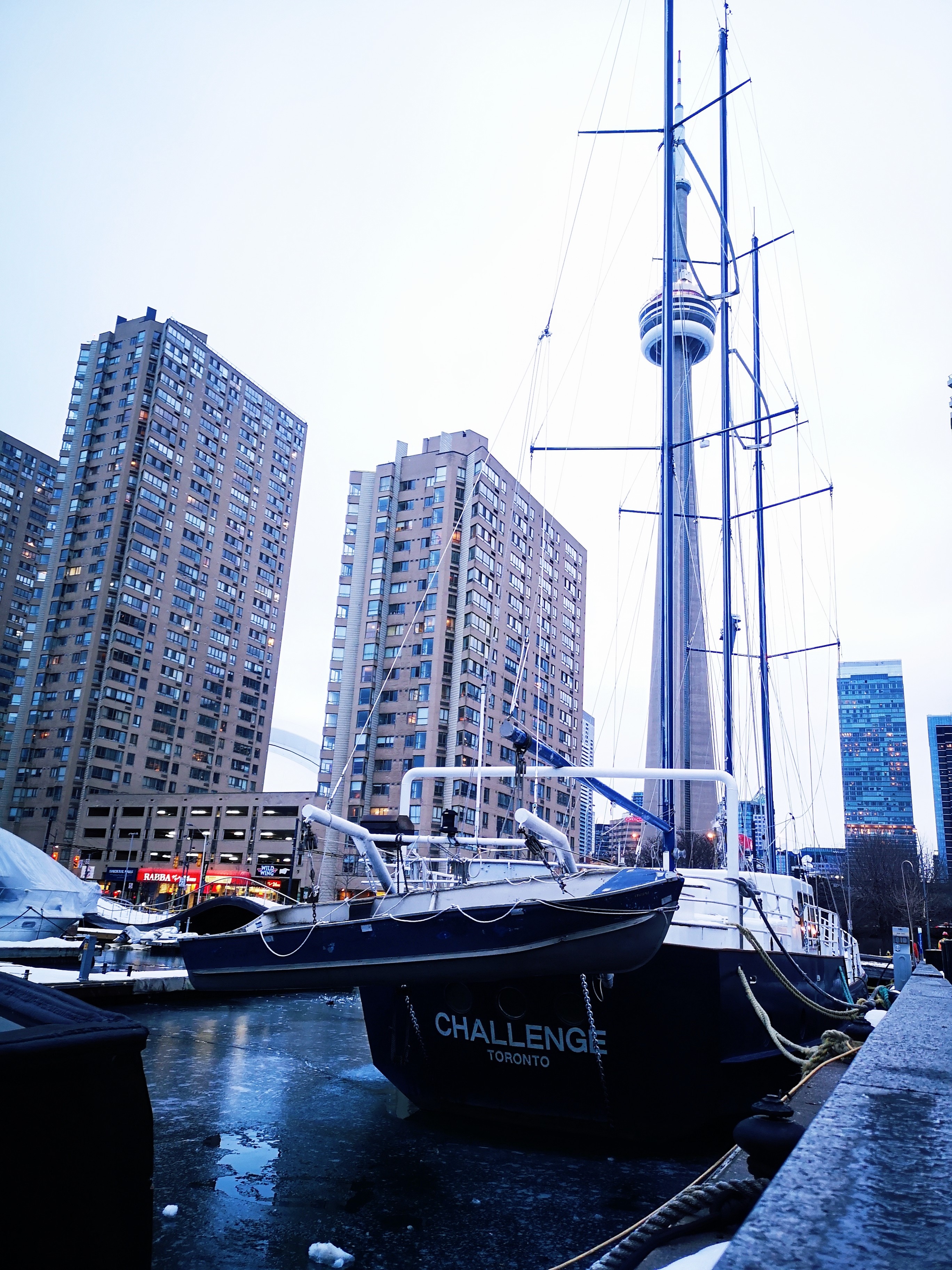 Gratitud en tiempos desafiantes. Qué  es para ti y cómo lo haces?