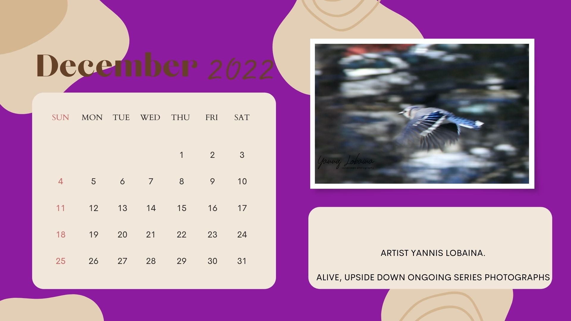 UN REGALO PARA USTEDES.