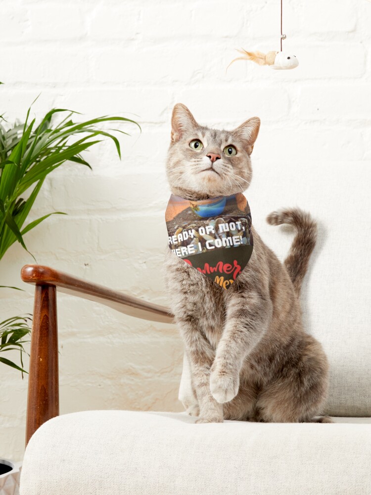 NUEVA COLECCIÓN DE VERANO 2022 EN MIS DOS TIENDAS ONLINE.