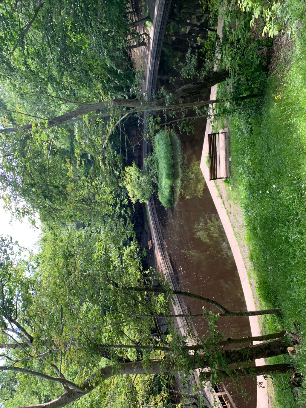 CORAZONES, PARA USTEDES!. LA HISTORIA DEL Estanque en forma de corazón EN BEDFORD, NOVA SCOTIA.