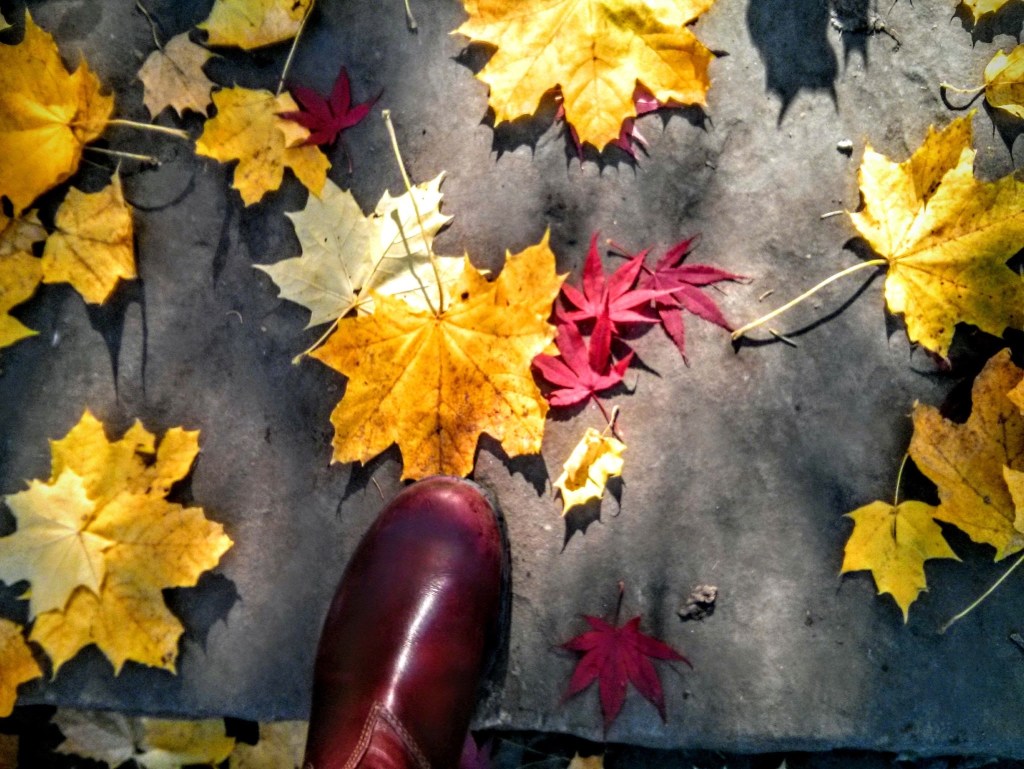 BIENVENIDO NOVIEMBRE,