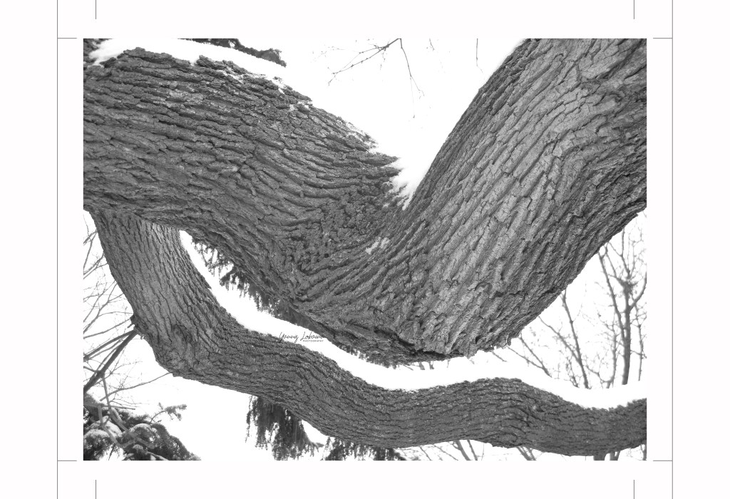 AWAKENING, 2021 BY YANNIS LOBAINA 