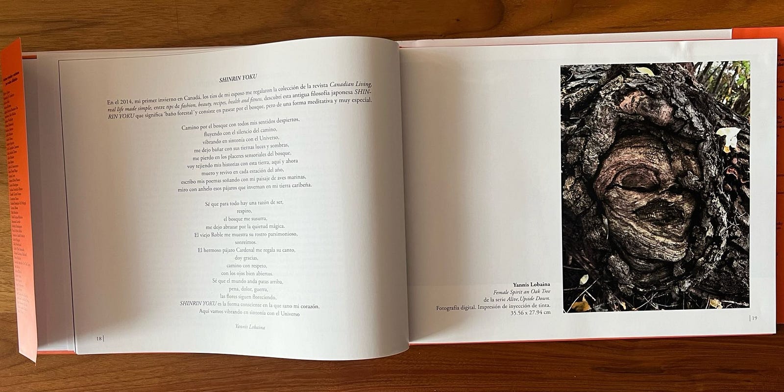 Shinrin Yoku: The Healing Art of Forest Bathing. Group art exhibition by AlbArt Global Collective, curated by Yannis Lobaina.