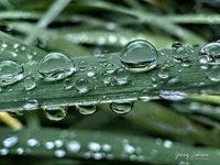 Magical Rain ©Yannis Lobaina