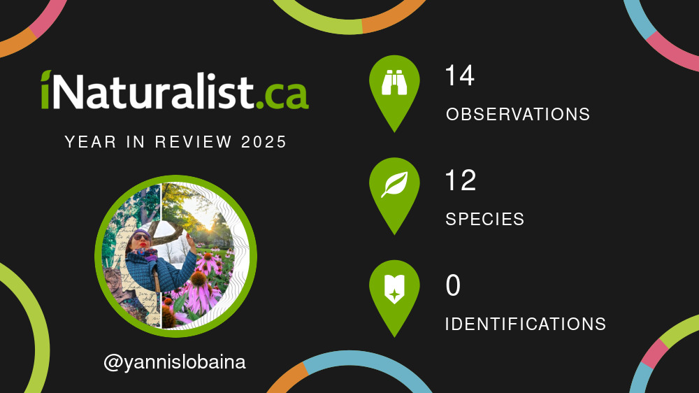 Yannis Lobaina at INaturalist.ca
https://inaturalist.ca/stats/2025/yannislobaina#sharing
