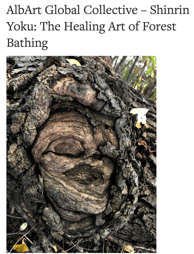https://akimbo.ca/listings/albart-global-collective-shinrin-yoku-the-healing-art-of-forest-bathing/